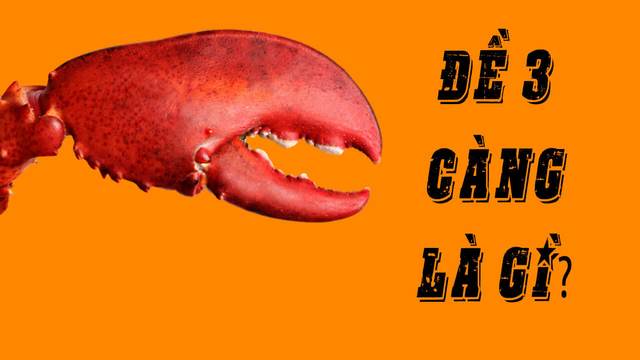 Dự đoán ba càng miền Bắc hôm nay thật chuẩn xác